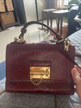 Dolce & Gabbana Burgundy Python-Embossed Shoulder Bag with Gold Hardware